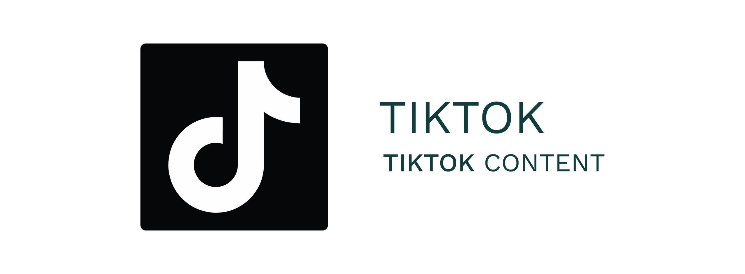 Asset 51tikTokLogo