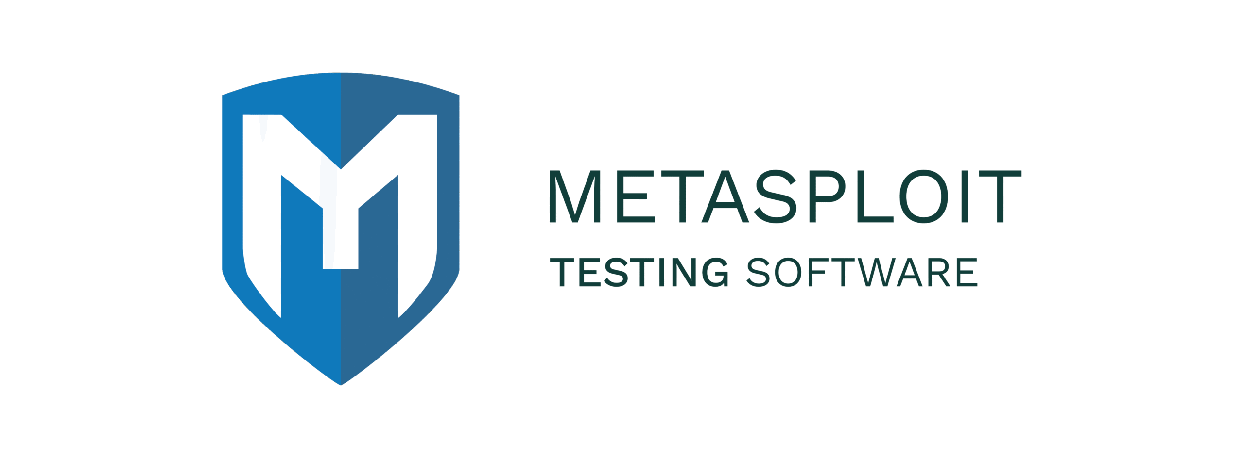 Asset 78MetasploitLogo